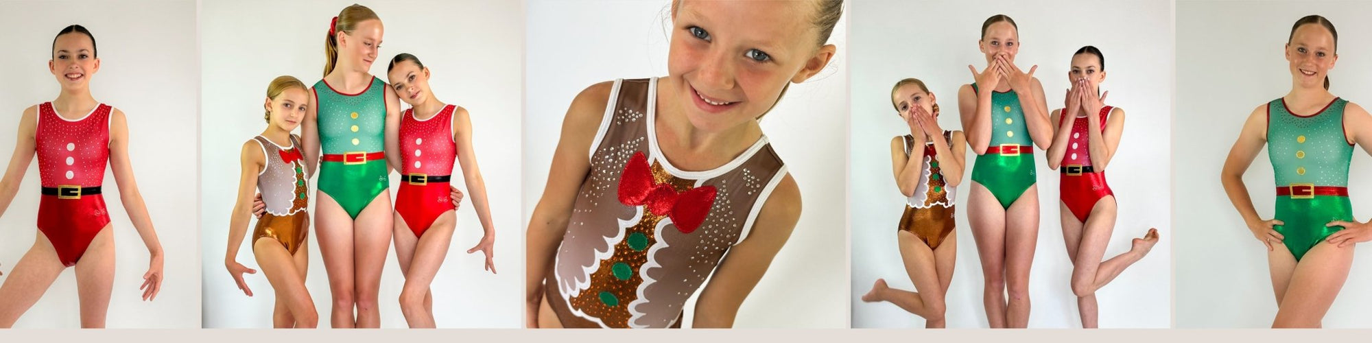 Christmas - Dragonfly Leotards