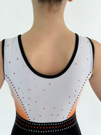 Dusk Haze - Gymnastics Leotards - Dragonfly Leotards - Girls leotard